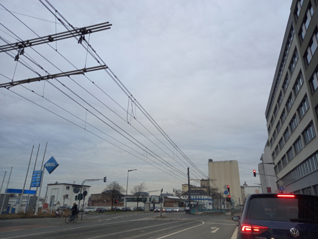 Koeln Poll